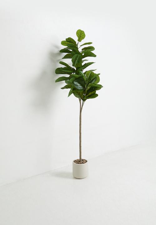 Sixth Floor - Fiddleleaf Artificial tree 150cm
