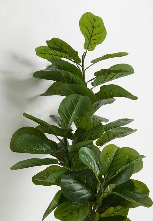 Sixth Floor - Fiddleleaf Artificial tree 150cm