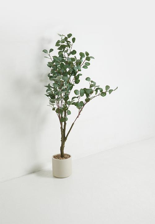 Sixth Floor - Eucalyptus Tree Artificiail Plant 120cm
