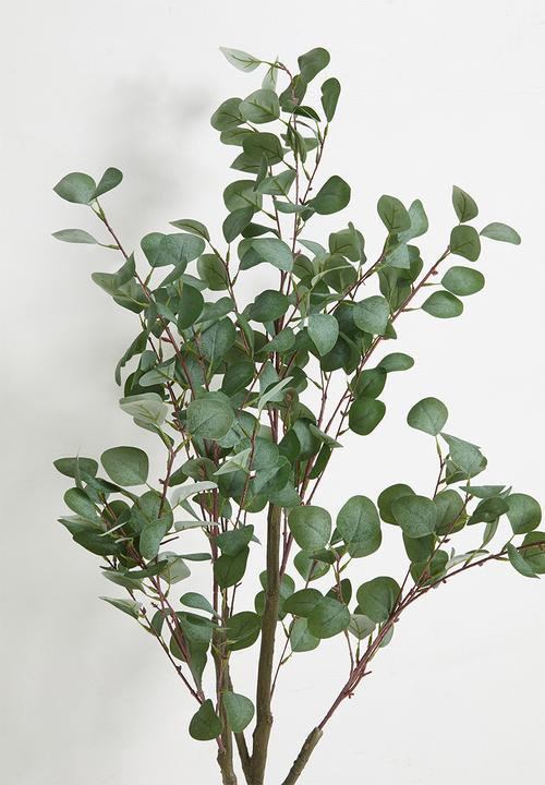 Sixth Floor - Eucalyptus Tree Artificiail Plant 120cm