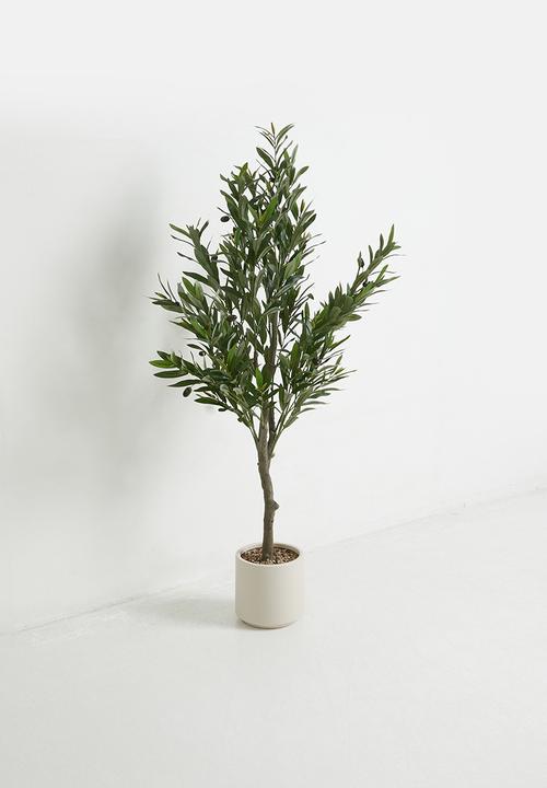 Sixth Floor - Olive Tree Artificial Plant 130cm