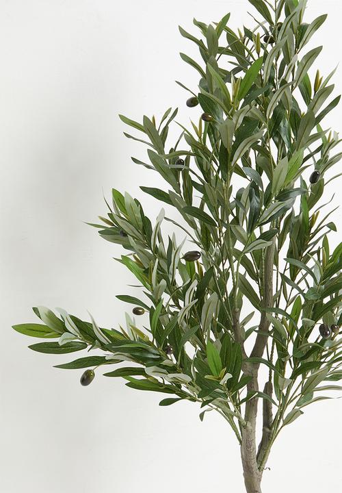 Sixth Floor - Olive Tree Artificial Plant 130cm