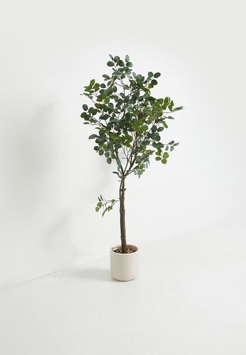 Sixth Floor - Loropetalum Tree Artifiical Plant 130cm