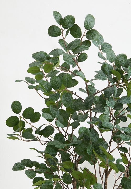 Sixth Floor - Loropetalum Tree Artifiical Plant 130cm