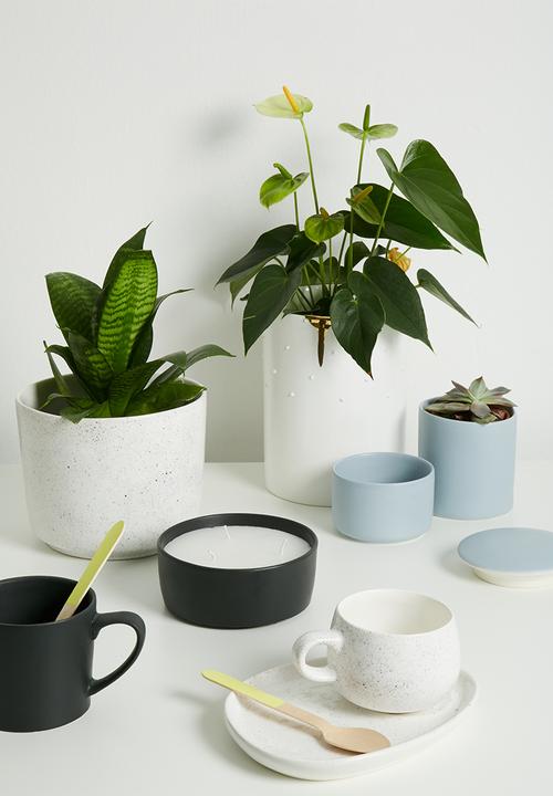 Urchin Art - Speckle coco pot
