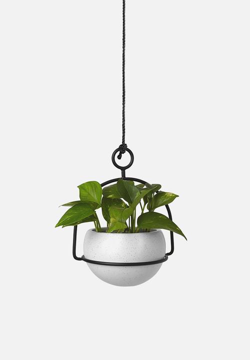 Umbra - Nesta planter - black & white