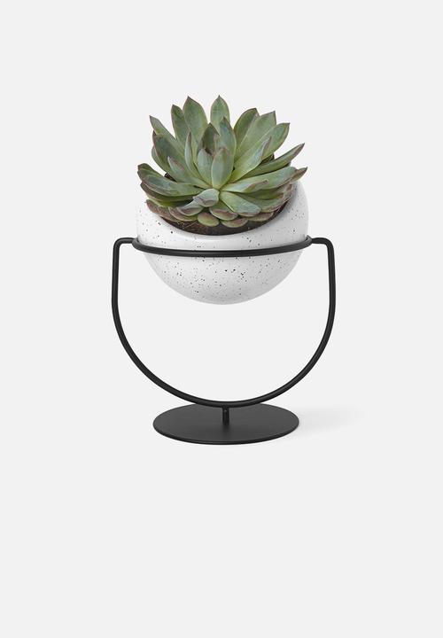 Umbra - Nesta planter - black & white