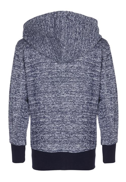 Lizzard - Printed Hoody Navy