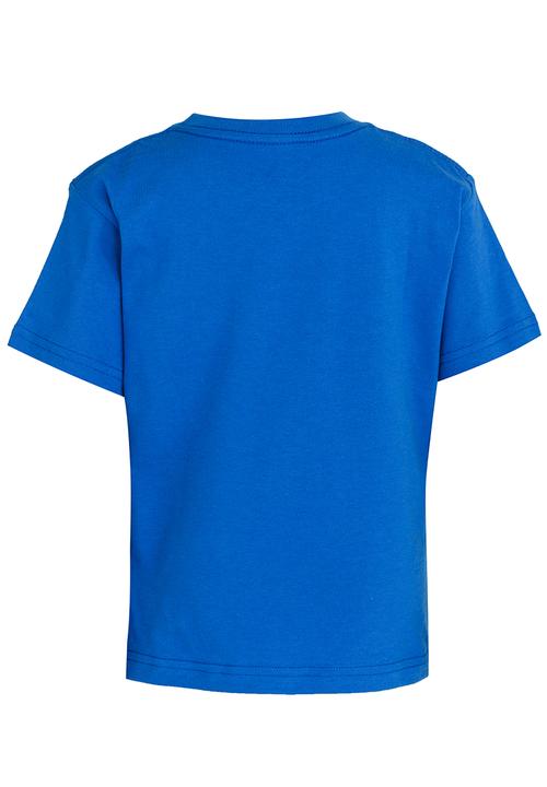 DC - Aping Short Sleeve Tods Tee Mid Blue