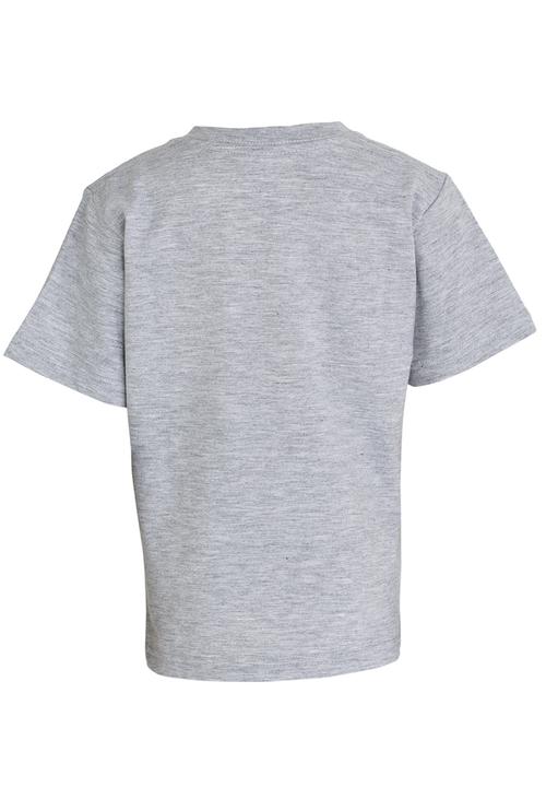 DC - Cruiser Bruiser  Short Sleeve Tods Tee Grey
