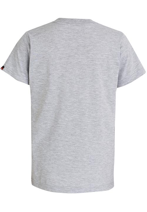 Quiksilver - Daily Surf  Boys Tee Grey