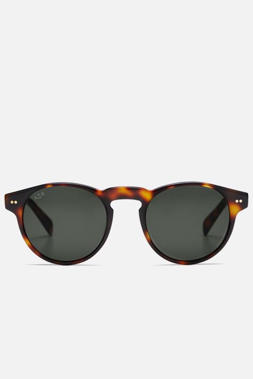 Berkeley-tortoise/green
