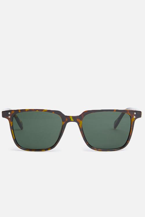 Felon sunglasses - brown