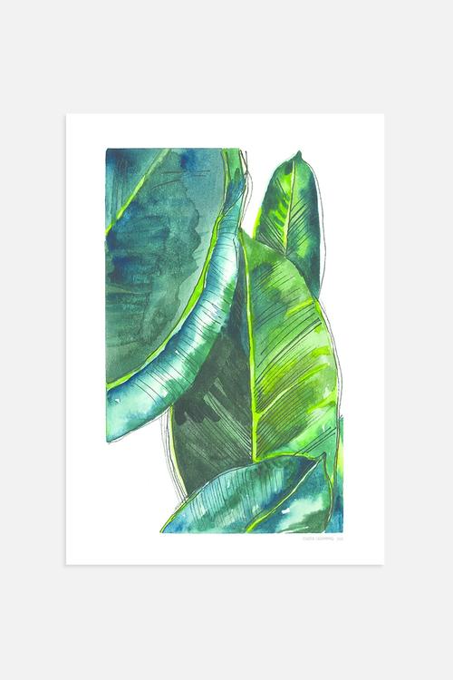 Banana Leaves