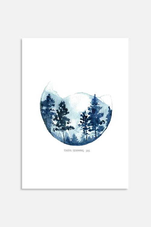 Shades of Winter 2