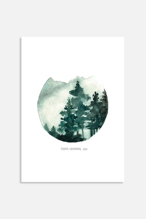Shades of Winter 3