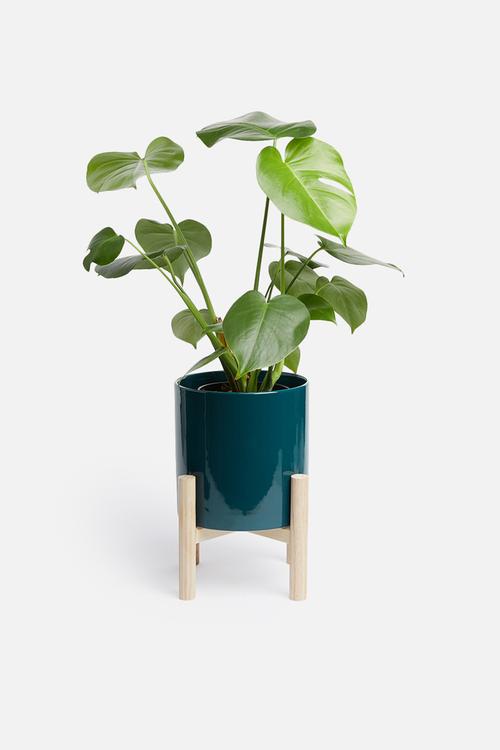 Trestle ceramic plant pot - dark blue