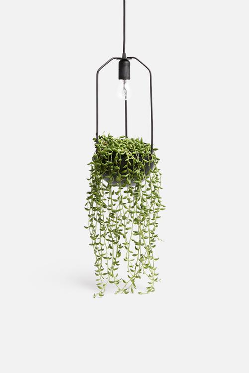 Planter pendant - black