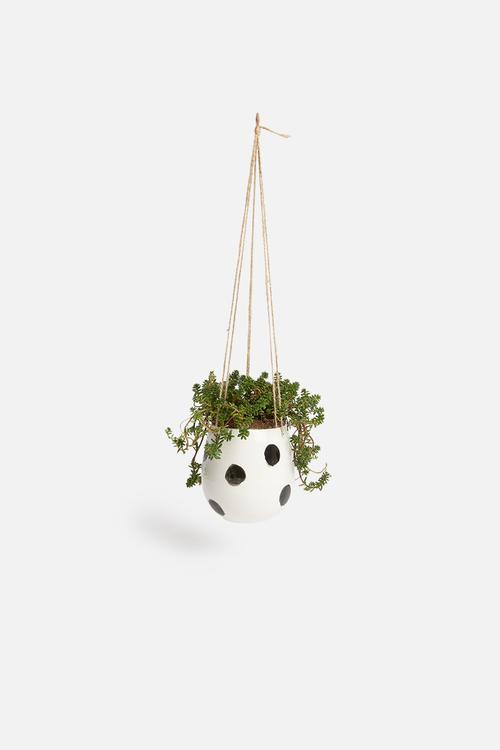 Speckle hanging succulent planter - white & black