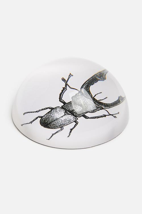 Glass paperweight - insect