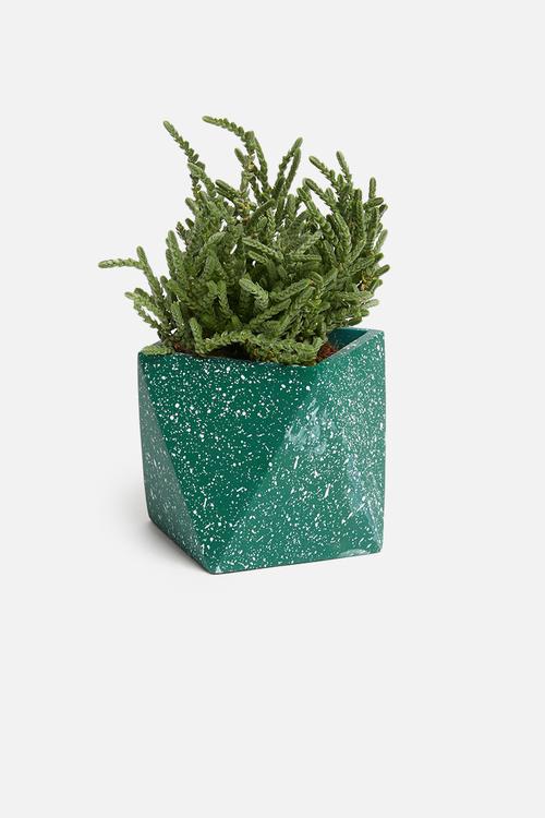 Terrazzo desk planter - green