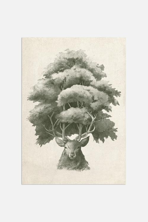 Old Growth