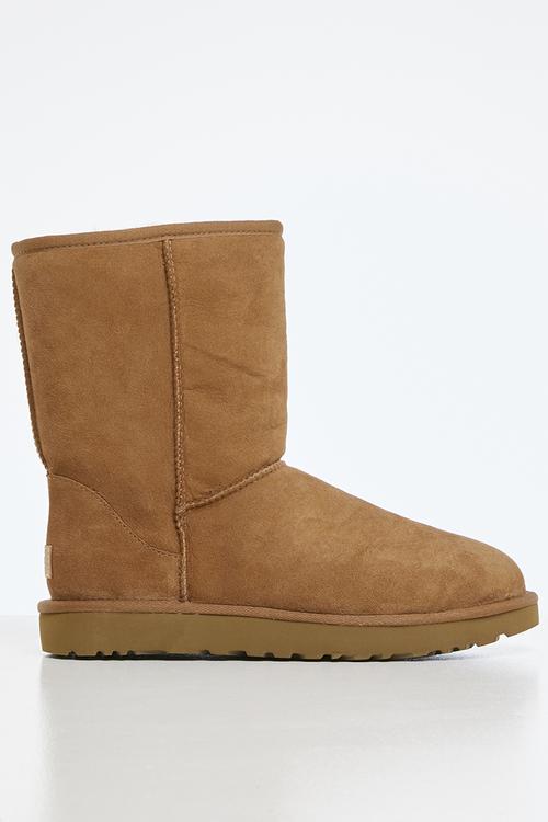 Classic short ii - chestnut