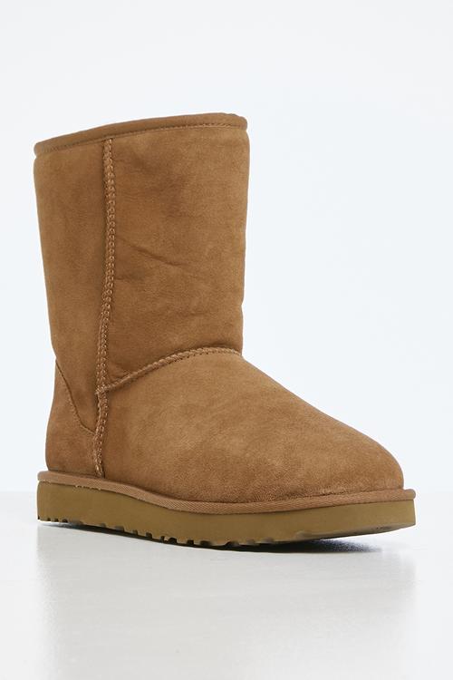 Classic short ii - chestnut