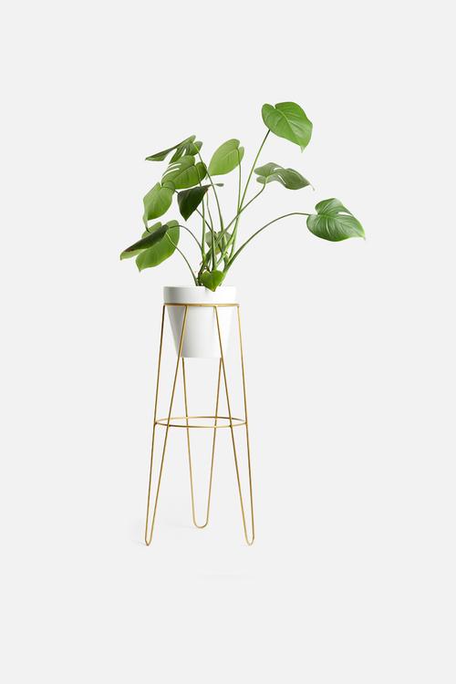 Standy planter set - white & gold