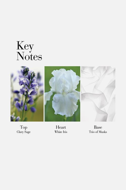 White Tea Pure Indulgence Hand Cream - 30ml