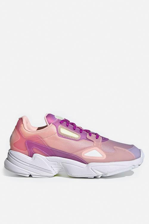 Falcon - bliss purple / shock purple / haze coral