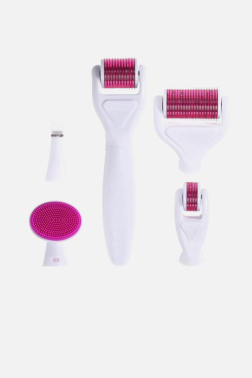 6 in 1 Derma Roller with Free Banish & Repair Serum