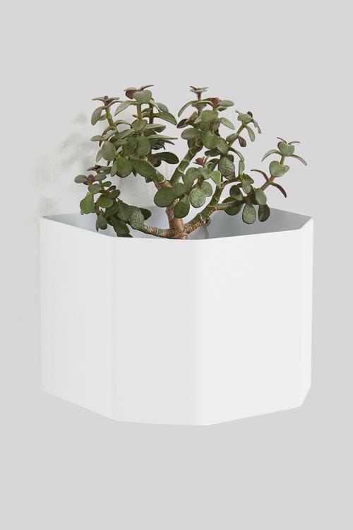 Wall mounted herb box - white