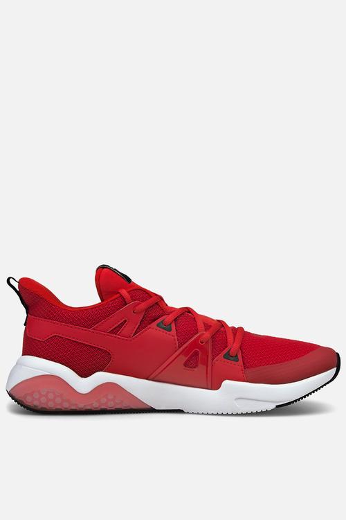 Cell fraction - high risk red-puma black-puma white