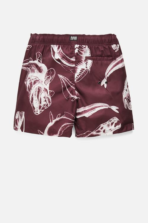 Dirik piranha swimshorts - burgundy 