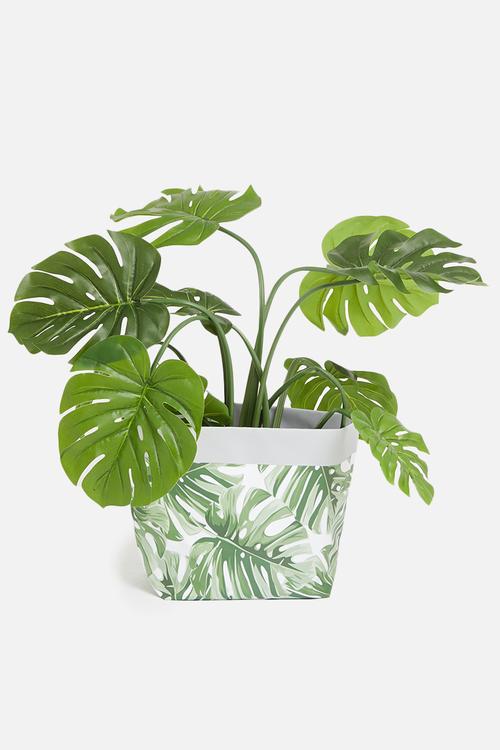 Parfuma canvas planters - green