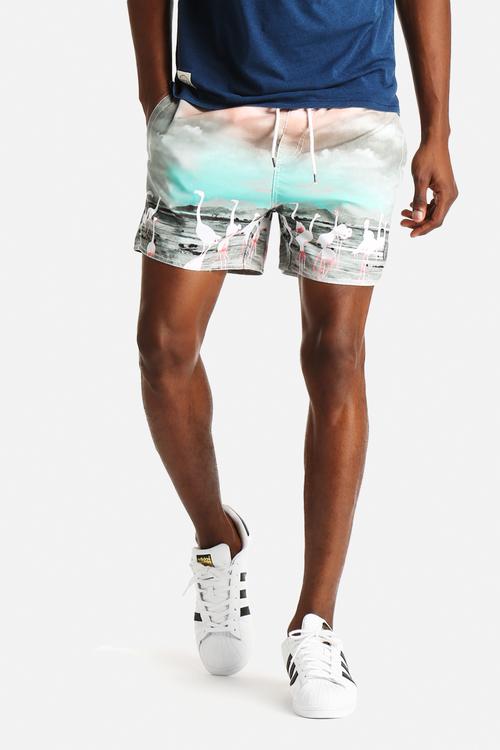 Flamingo Swimshorts