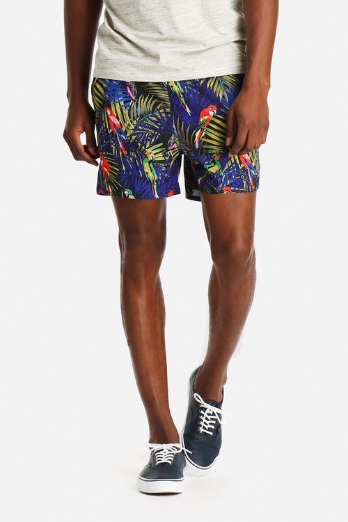 Rainforest Parrot Swimshorts