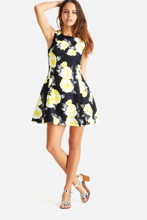 Floral Print Skater Dress