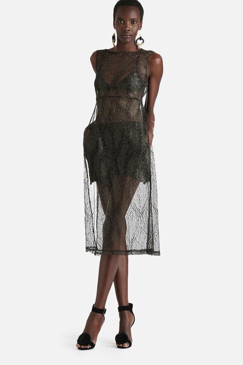 Miracle Sheer Lace Dress