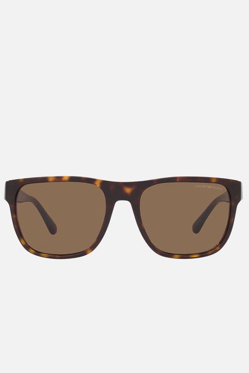 Emporio Armani sunglasses - shiny havana