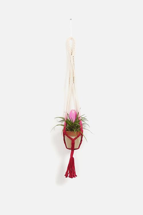 Macramé Wall Hanger