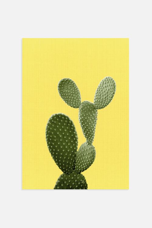 Cactus On Yellow