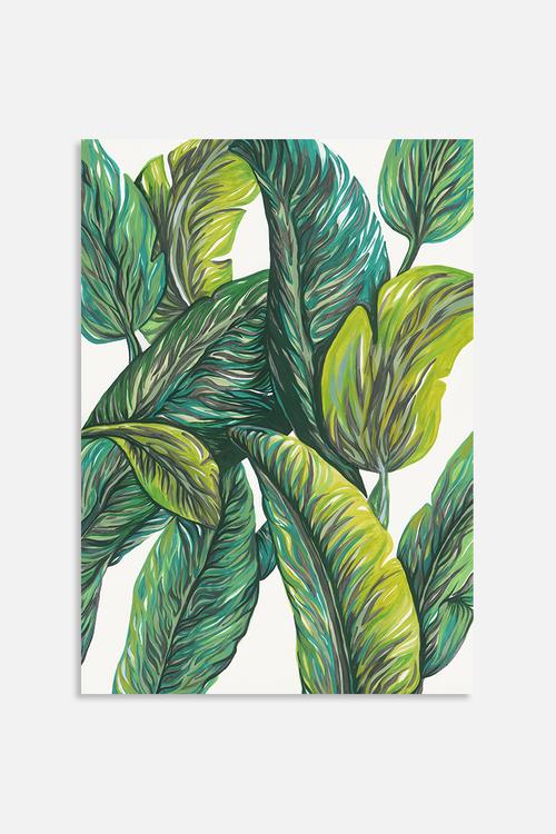 Tropical 4