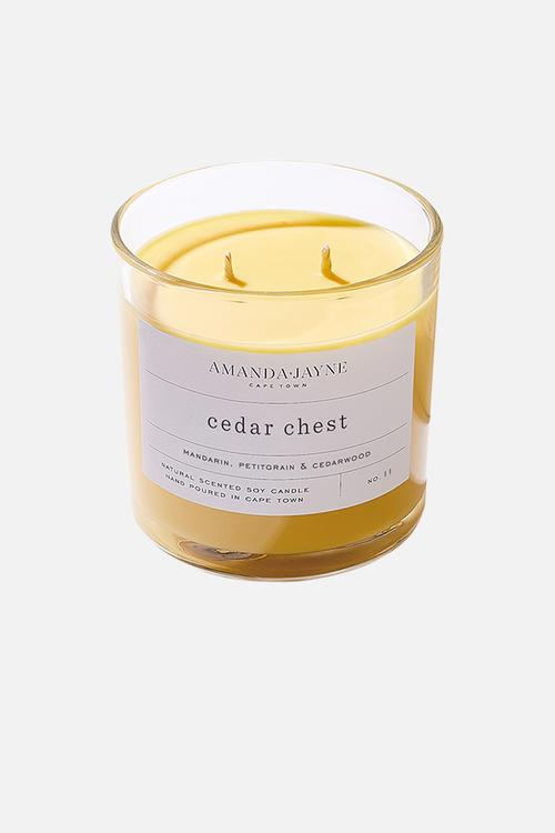 Cedar Chest Double Wick Soy Candle - natural