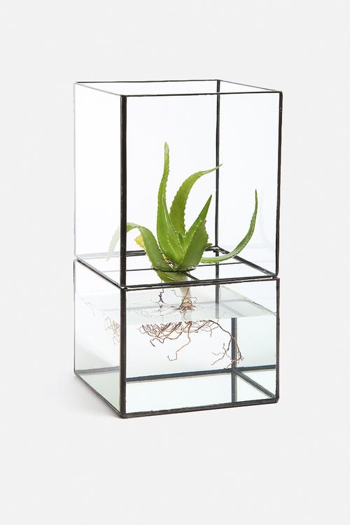 Glass Garden Large