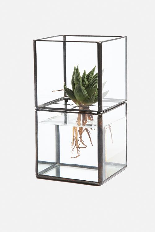 Glass Garden Small