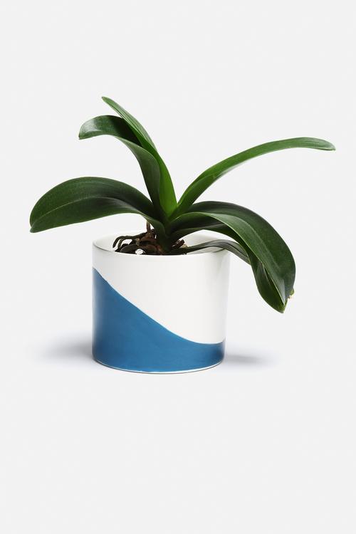 Small Cylinder Vase