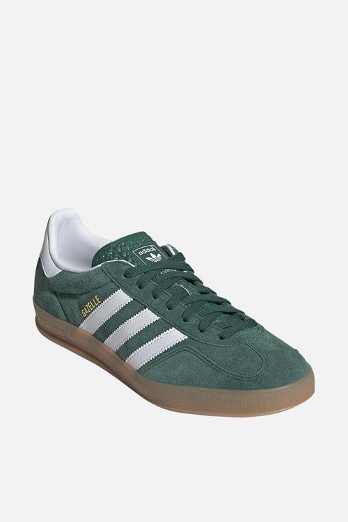 Gazelle indoor