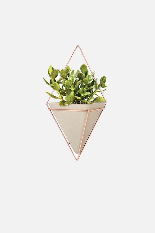 Trigg wall vessel 